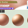 3 Photoshop Brushes for Painting Skin