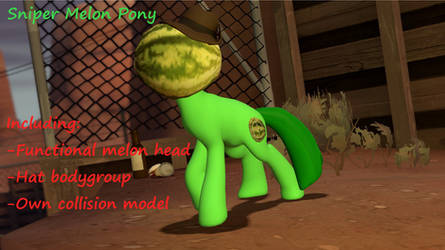 [DL] Sniper Melon pony