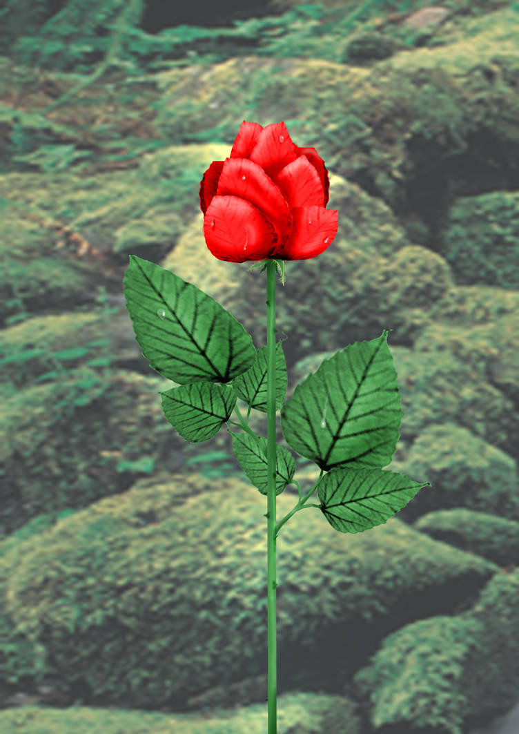A rose by any other name... by Inanis-Obscurum on DeviantArt