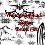 WS Tattoo Brush Set