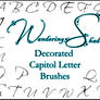 WS Decorated Letters 1 Brushes