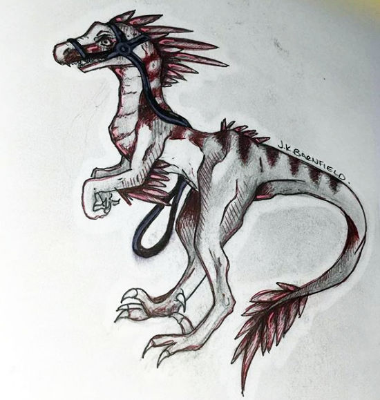 Raptor by HayleighBarnes on DeviantArt
