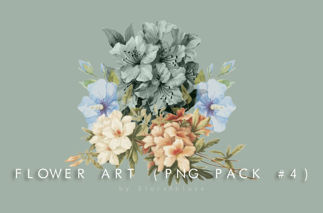 Flower Art (PNG Pack no. 4) by StarsAblaze on DeviantArt