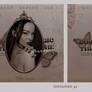 RBA_butterflys