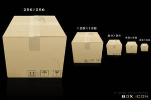 Cardboard Box Icon