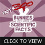 Bunnies Scientific Fact 300