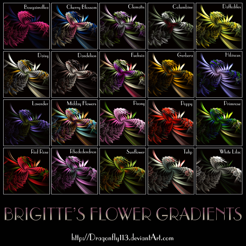 Brigitte's Flower Gradients