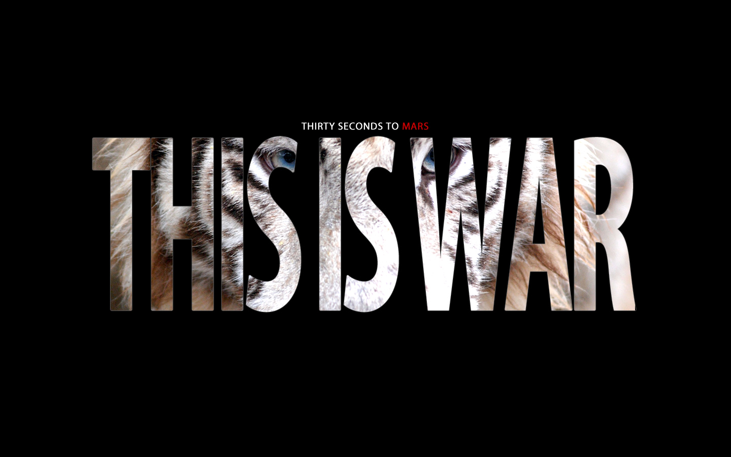 This Is War Deluxe By Zimaq On Deviantart
