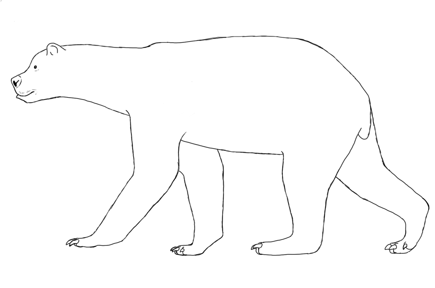 Arctotherium by KaprosuchusDragon on DeviantArt