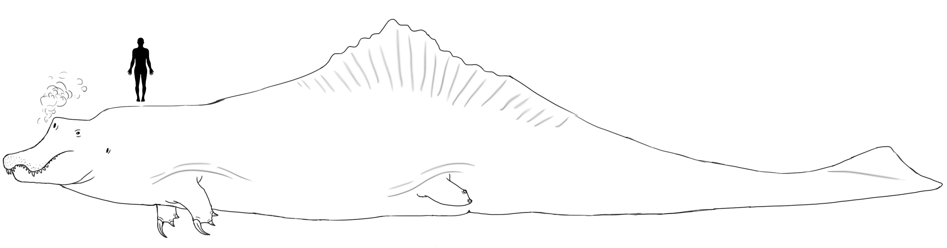 Sea Spinosaurid