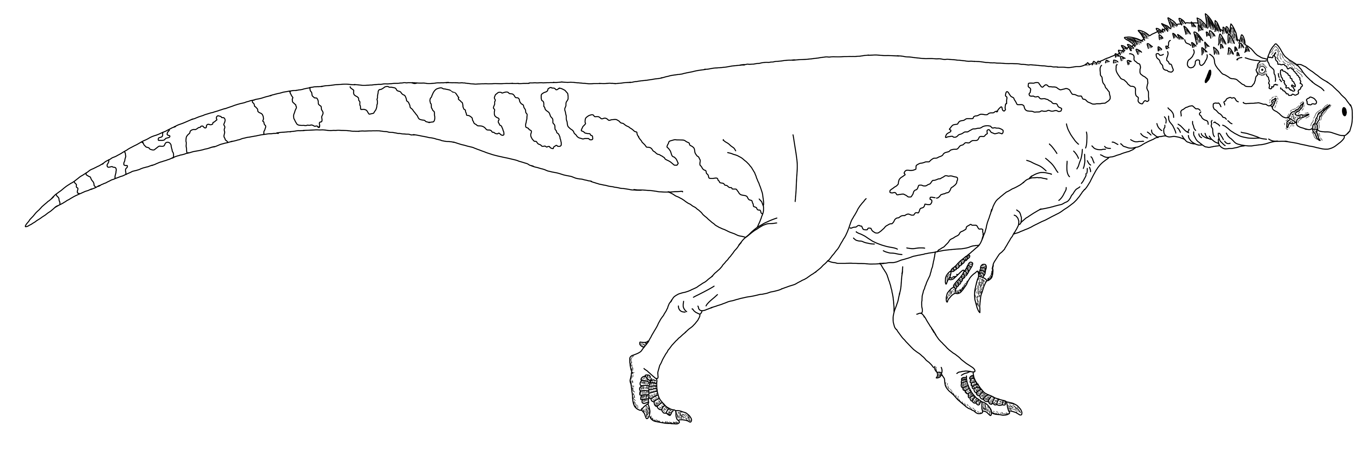 Saurophaganax Coloring Page