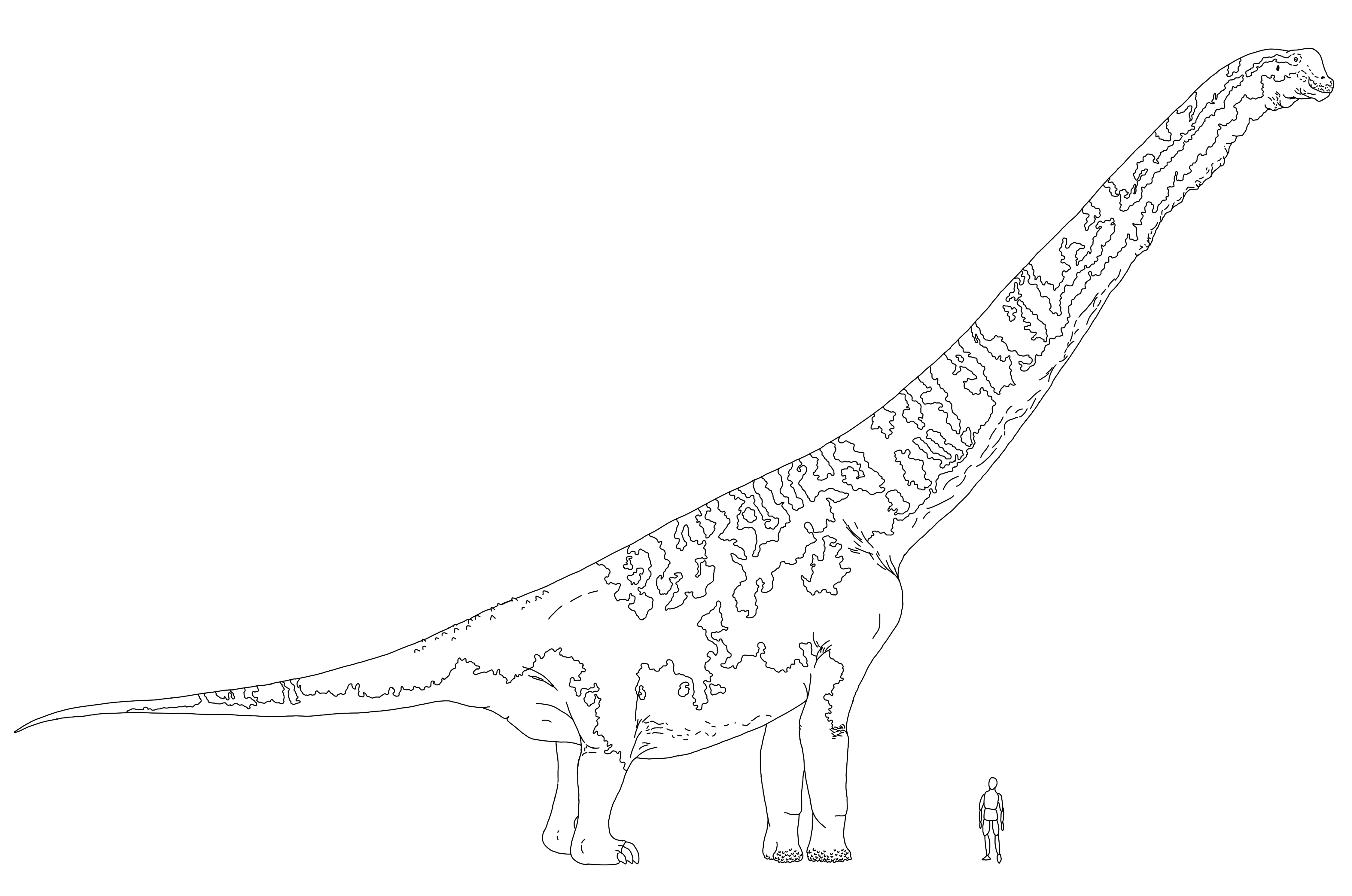 Slope-backed Colossus by KaprosuchusDragon on DeviantArt