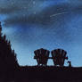Learn From the Stars - Music