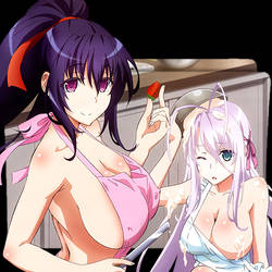 High School DxD 8 Folder Icon by rkasai14