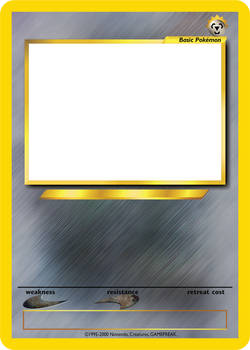 Pokemon TCG Blanks: Neo (Jumbo) - Basic