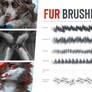 Fur brushes pack