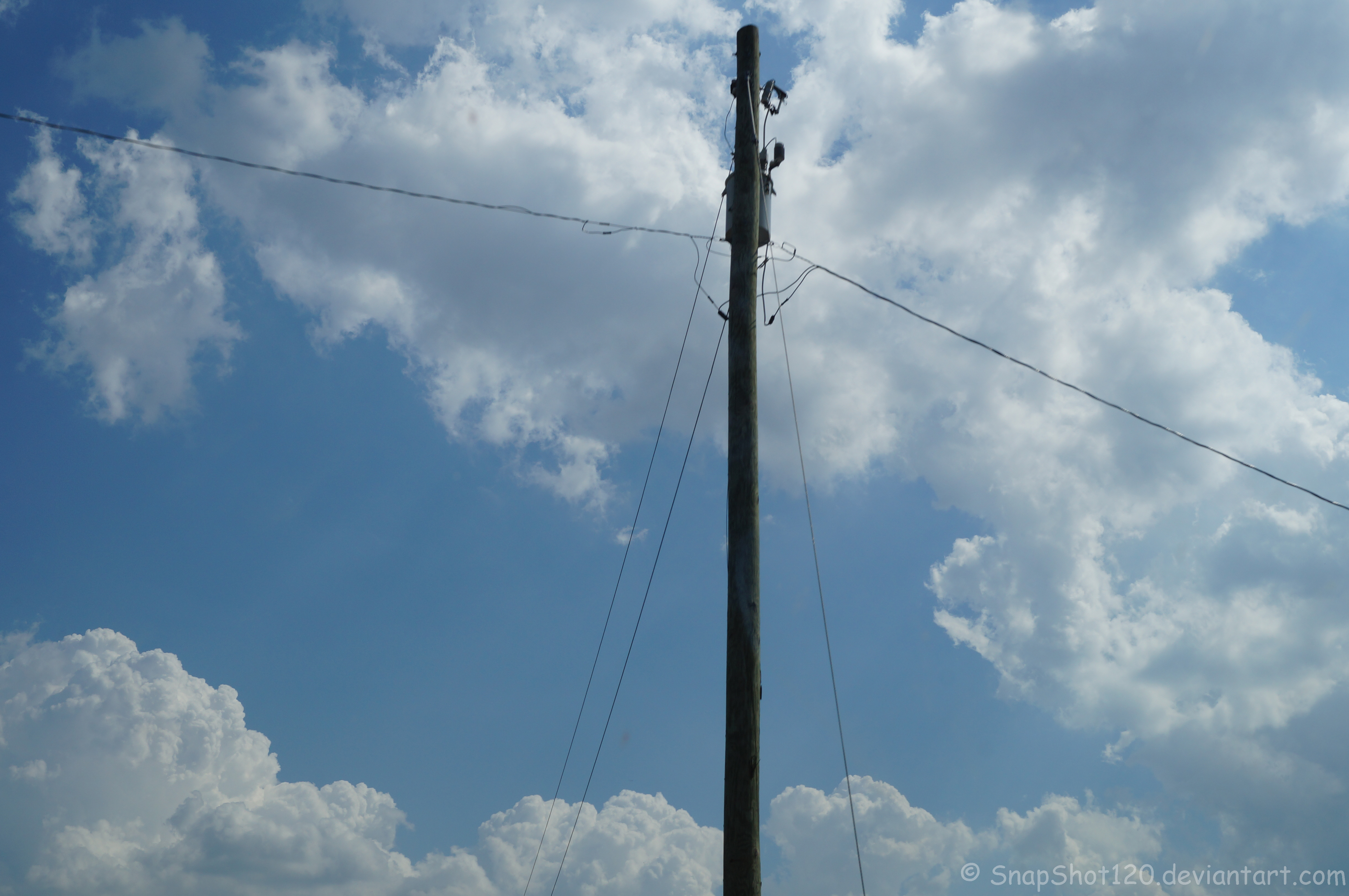 Utility Pole (Unedited)