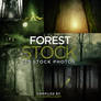 Forest Stock 003