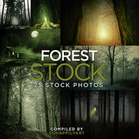 Forest Stock 003