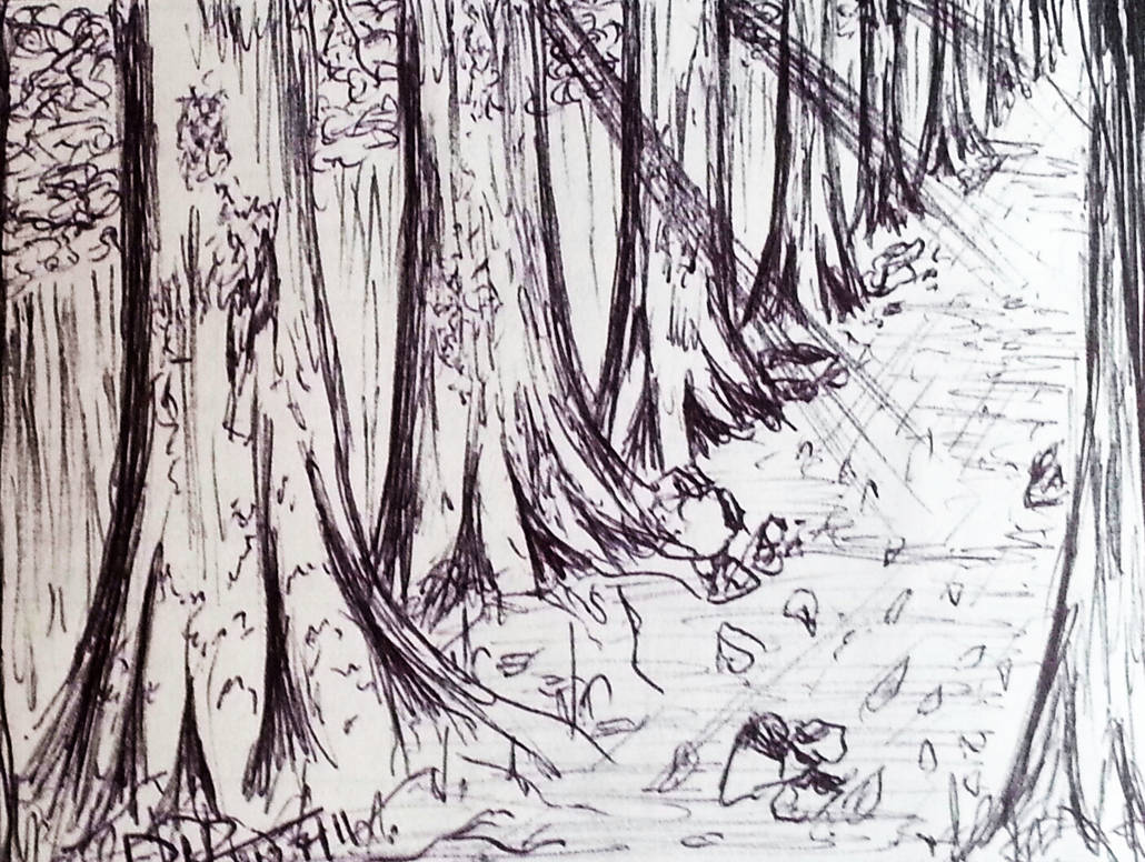 The road not taken by Lj17 on DeviantArt