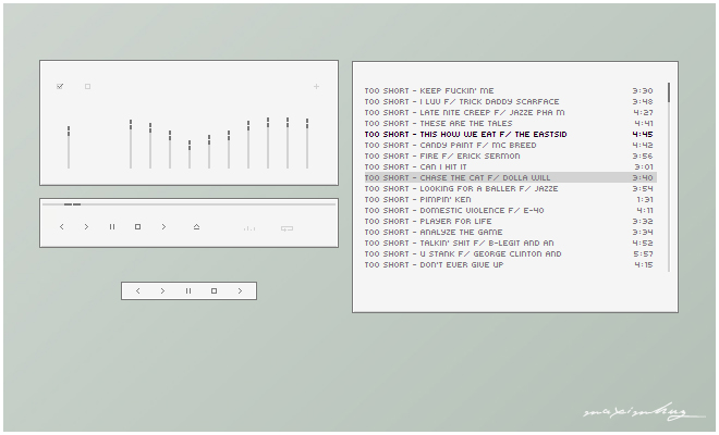 Case. Winamp