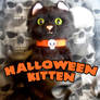 Halloween Kitten Plushie Pattern and  Instructions