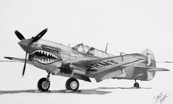 Curtiss P-40 Warhawk