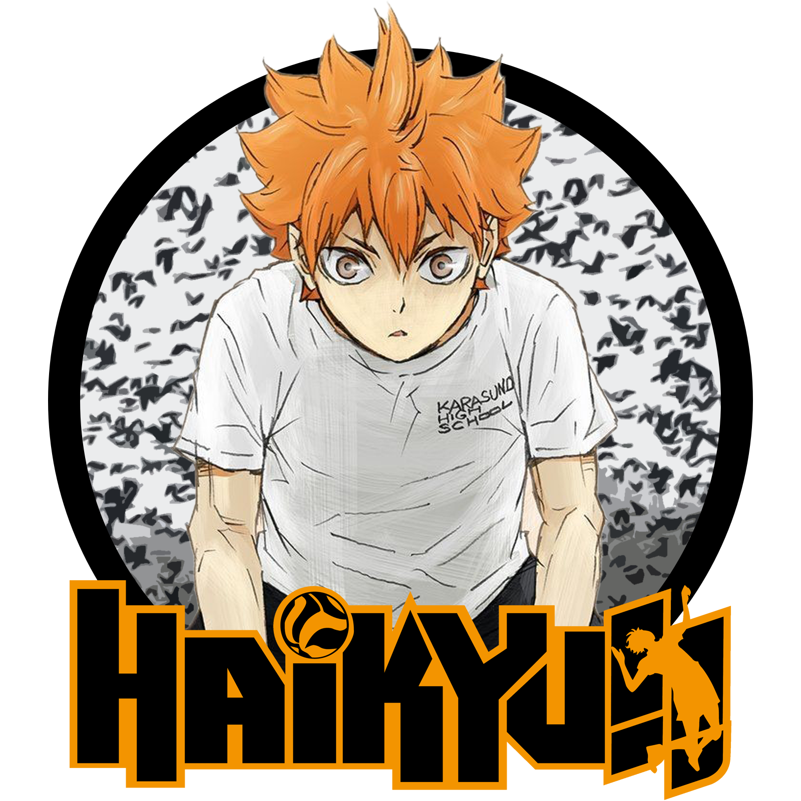 Haikyuu!! Season 2 Folder Icon by asherz124 on DeviantArt