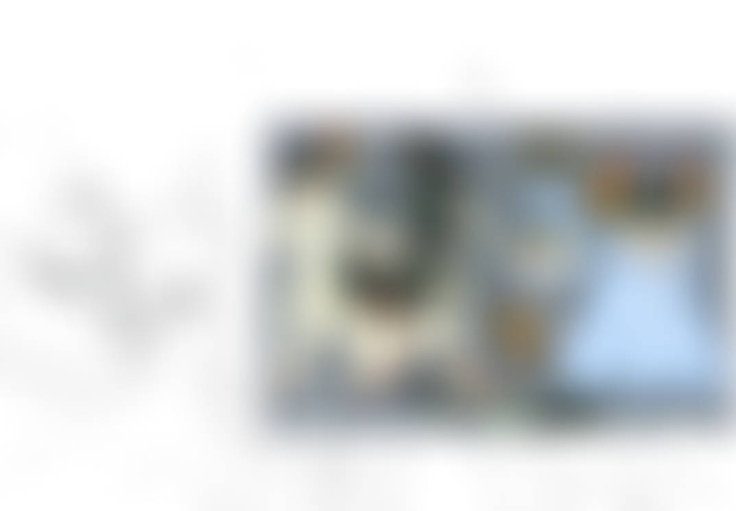 Time Lapse Of Contest Entry By Willowbeanii On Deviantart