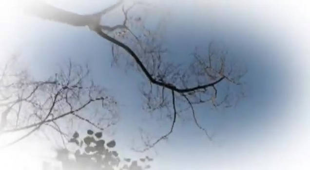 Tree Grail Explore the Best Treegrail Art | DeviantArt
