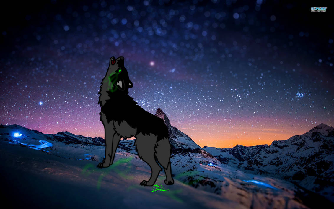 Starry Night by FaithMutt on DeviantArt