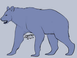 Free Bear Lineart