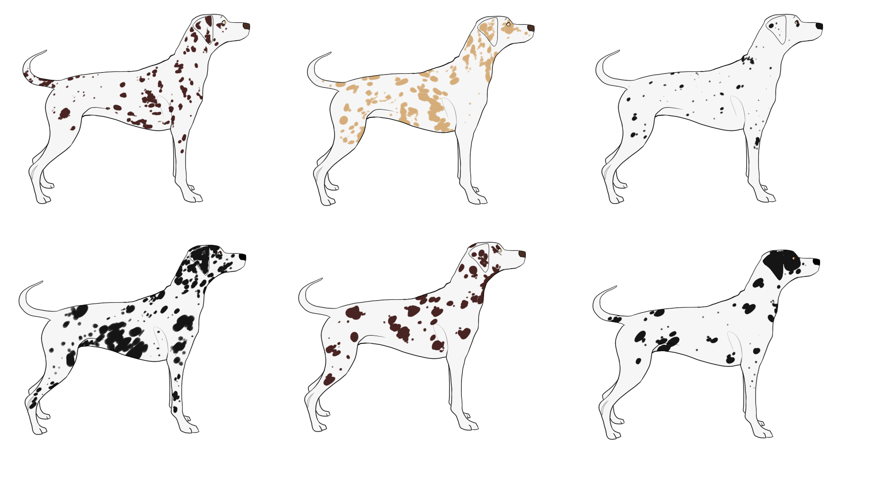Dalmatian Imports by Fontana-Roccia on DeviantArt