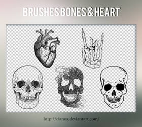 Brushes Bones and Heart [Cian05]