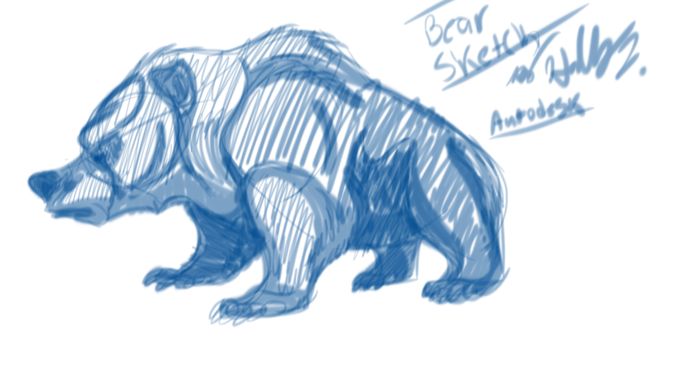 Bear Sketch-Autodesk by Hawaiifan on DeviantArt