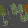 DAI Birch trees for XPS