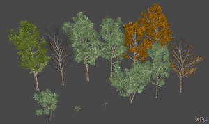 DAI Birch trees for XPS
