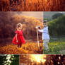 NEW Golden Light Photoshop Action