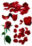 Rose and Petals Pack 1 - Stock