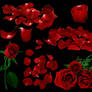 Rose and Petals psd - Stock