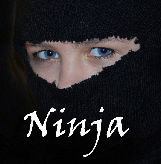 Couch Ninja by CheeseM0nkey on DeviantArt