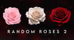 Random Roses 2