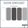 Silver Spotlight Palette