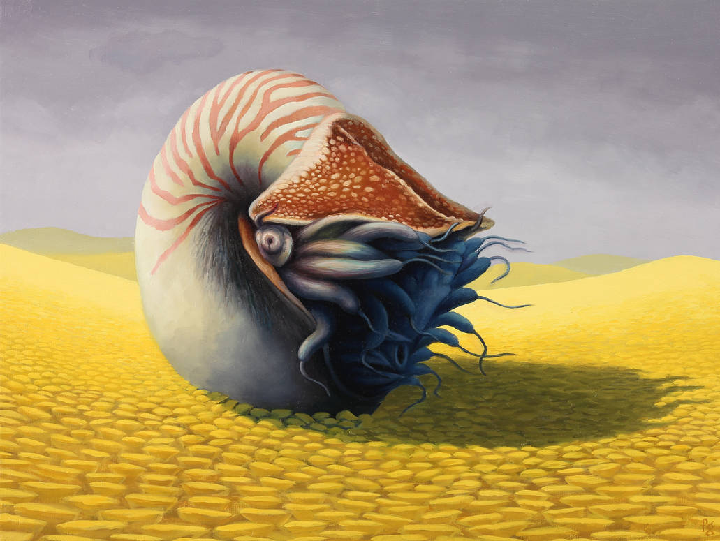 Nautilus by FredGray Nautilus by FredGray