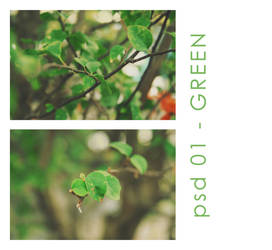 psd 01 - GREEN