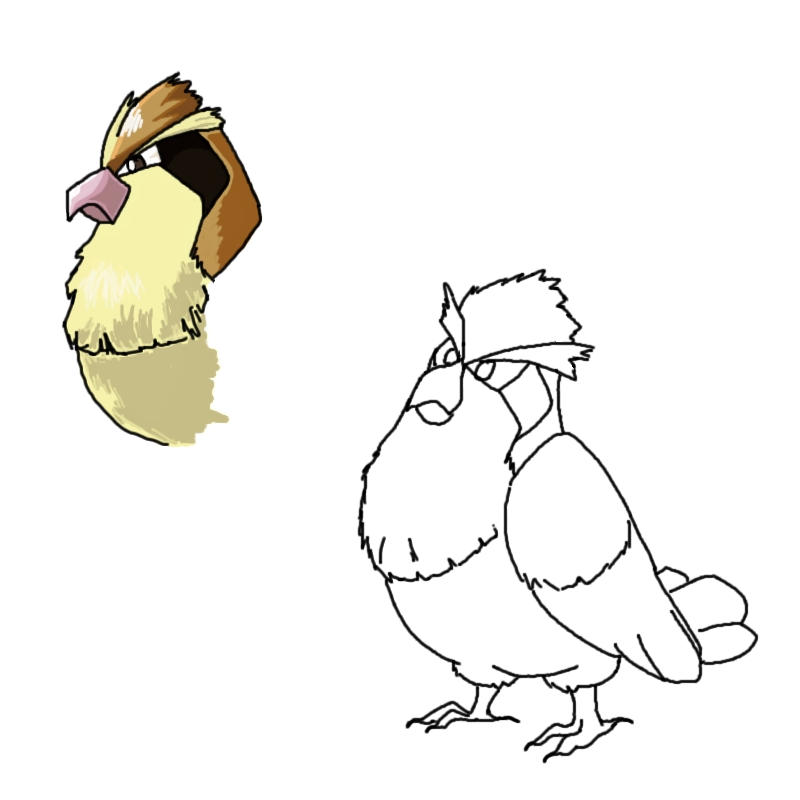 Pidgey Ref Sheet by AustralianShepKennel on DeviantArt