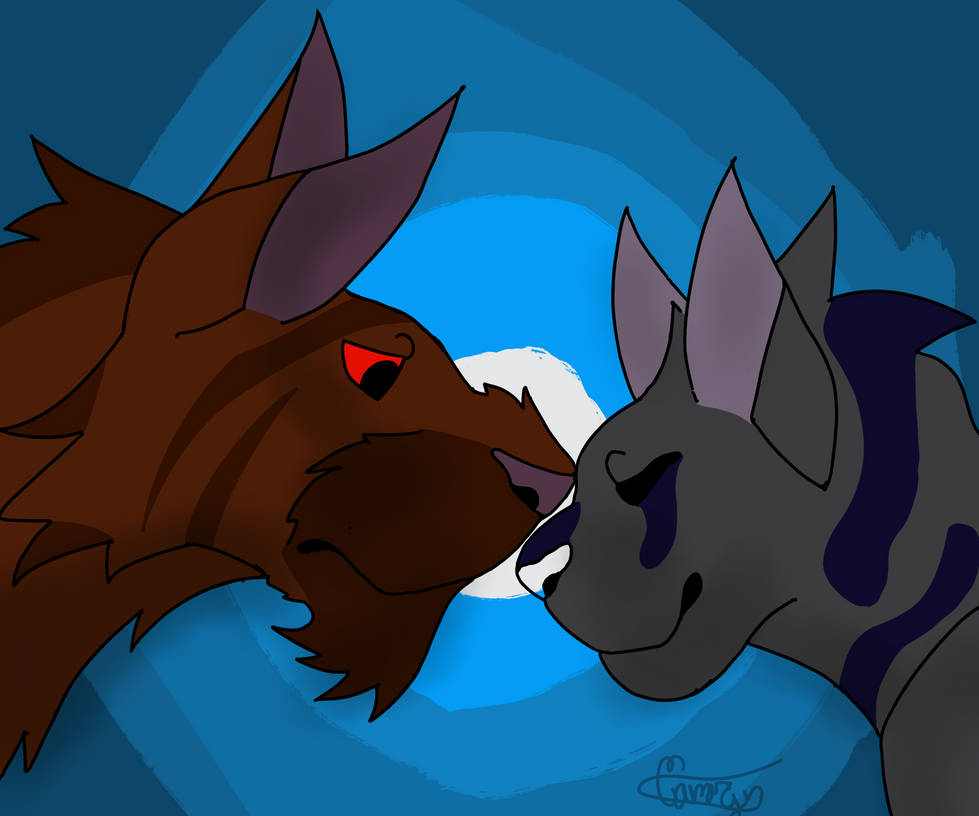 Two cats by lilRat13 on DeviantArt