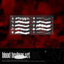 003 : blood set | brushes *