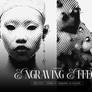 028 : engraving | photo effect *