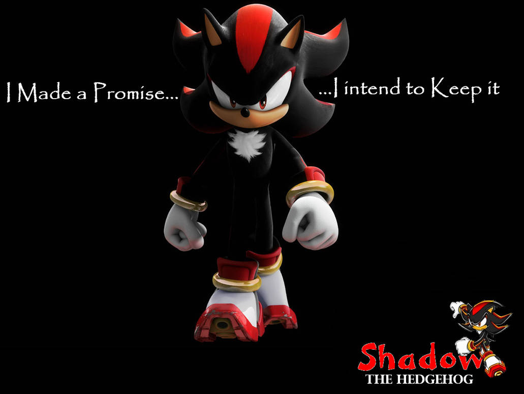 Shader sonic. Ёж шэдоу. shadow sonic. соник и шедоу. шедоу соник в полный рост.